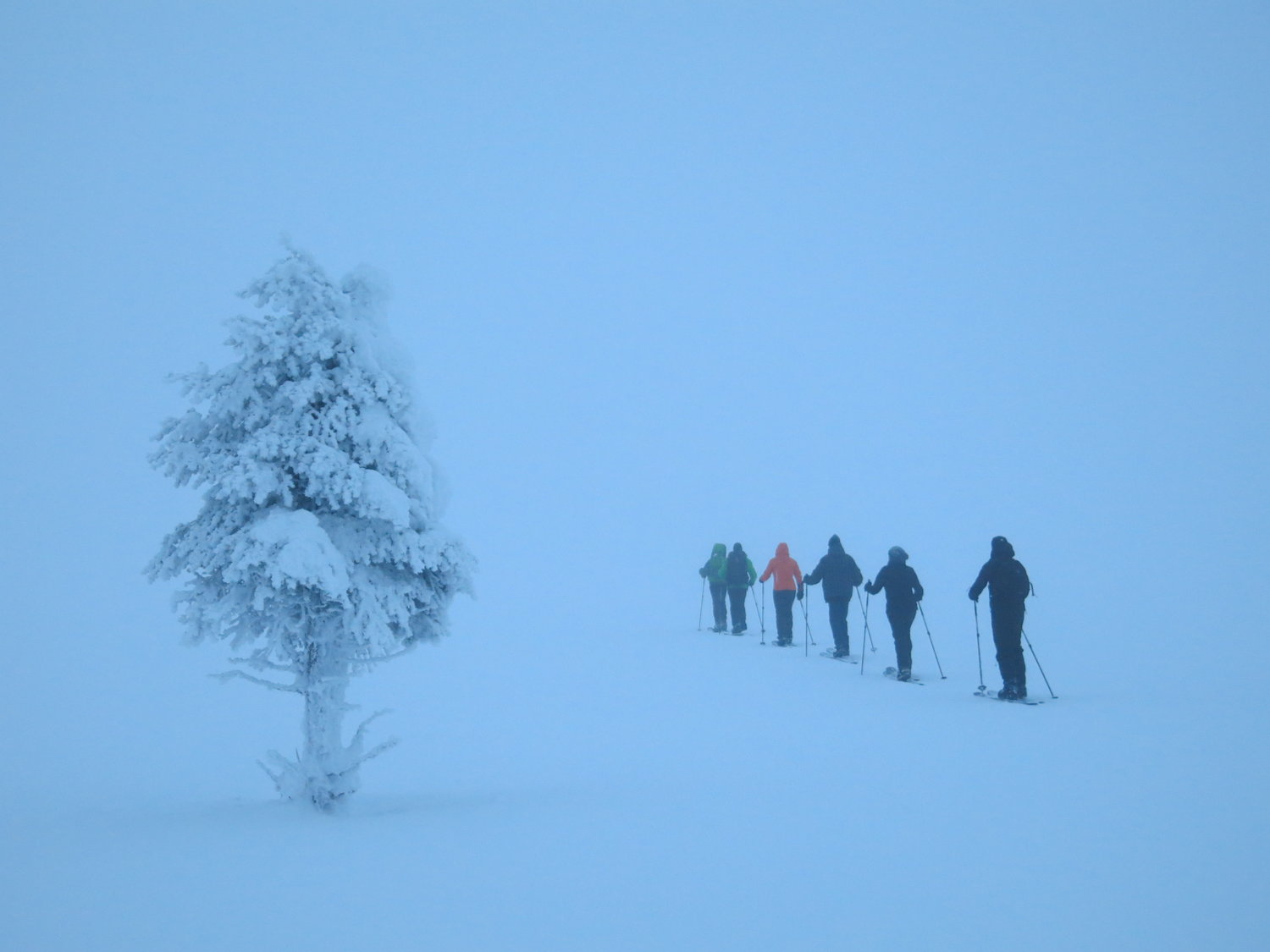 Skiers walking through snow