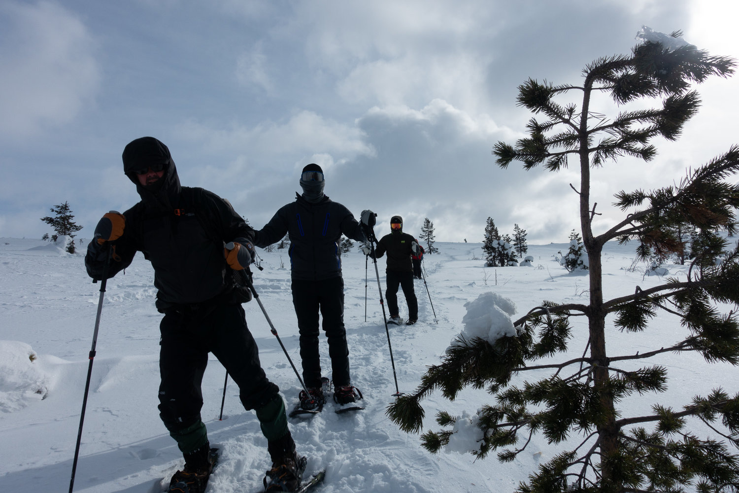 Tourers riding in the day in Lemmenjoki NP