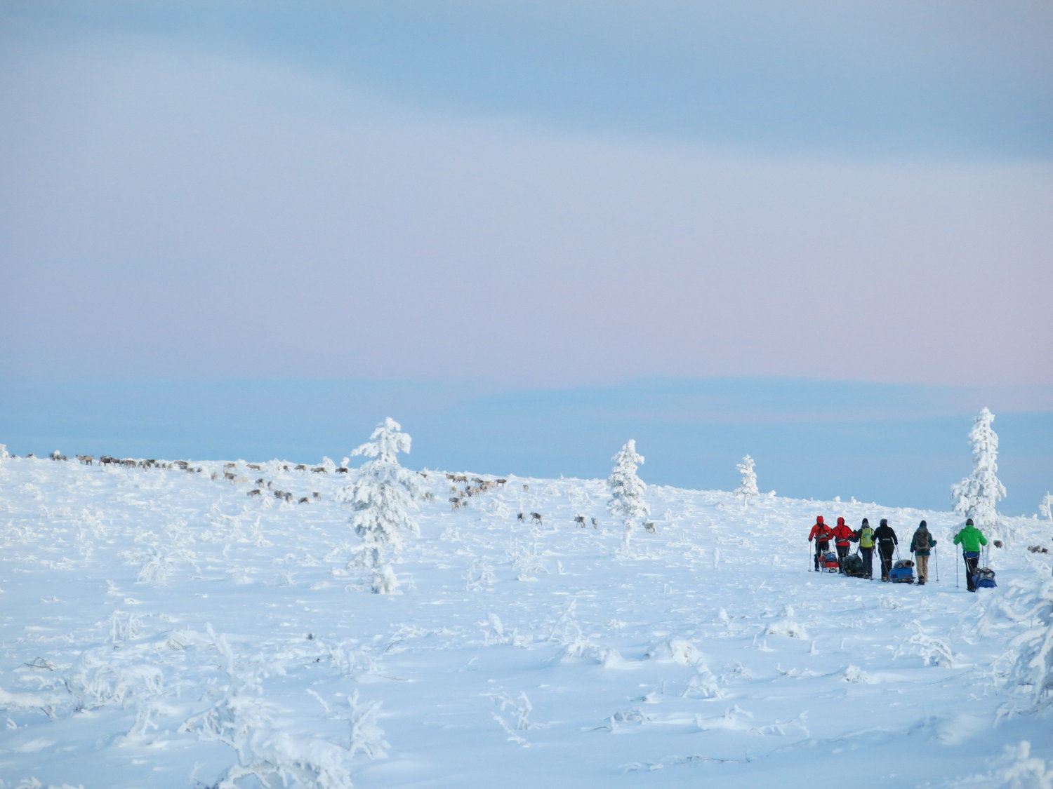 Tourers leaving a slope in a snowy landscape in Lemmenjoki