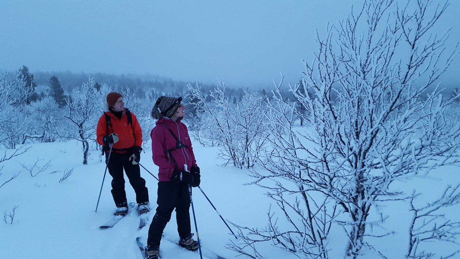 Some ski tourers watching through the trees in Lemmenjoki NP, Finland