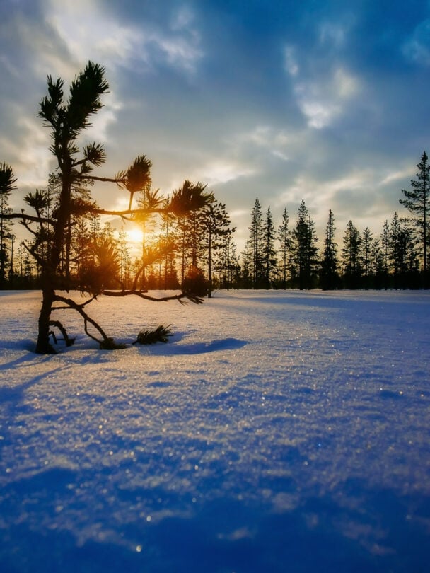 Backcountry Ski Holidays in Finland’s Lemmenjoki NP