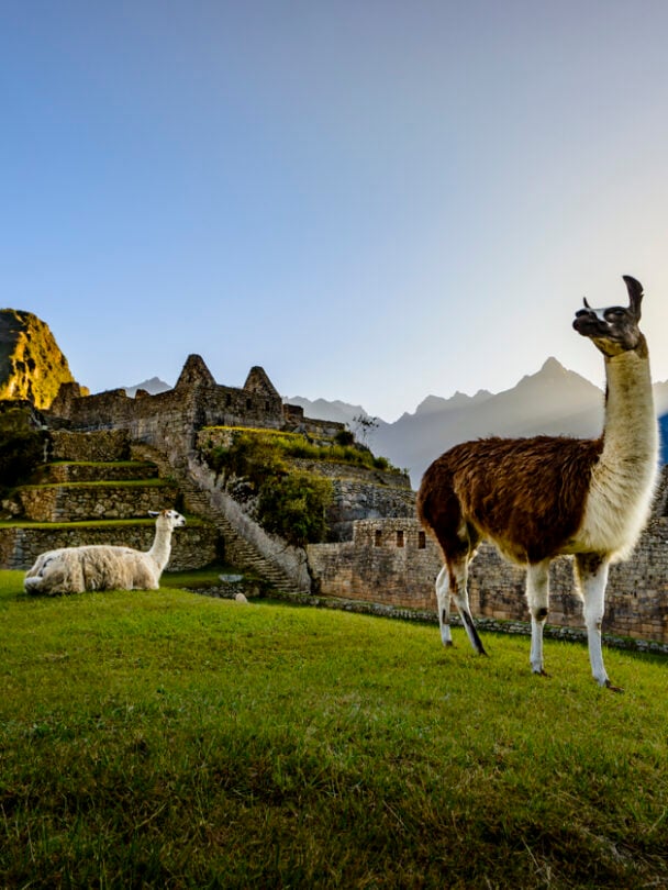 Guided Machu Picchu, Sacred Valley, Rainbow Mountain hike