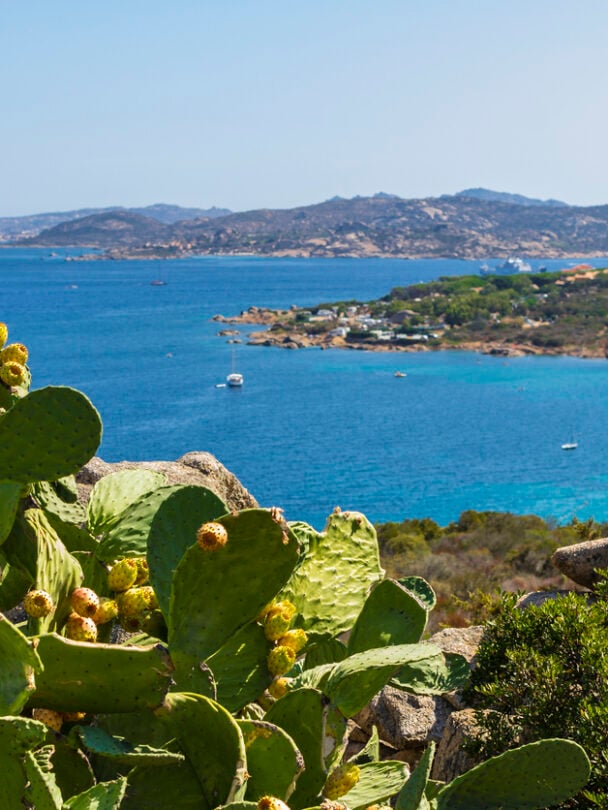 Guided Sardinia and Corsica bike tour