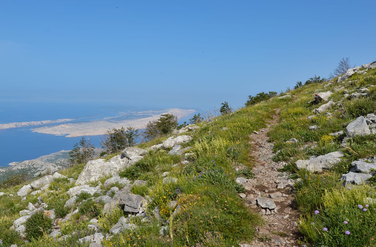 Premuzic hiking trail