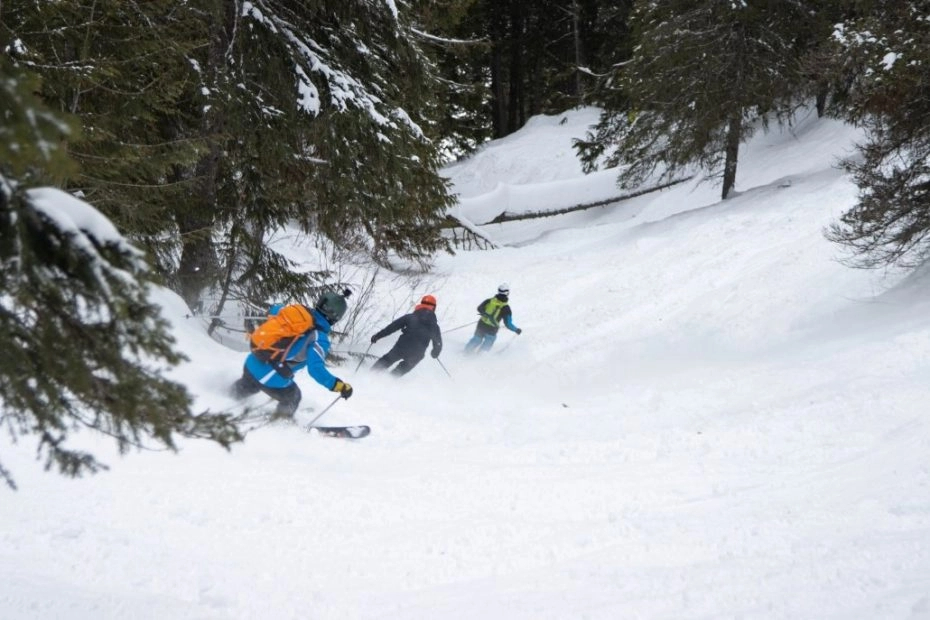 A group of off-piste skiers enjoying powdery terrain in British Columbia, Canada.
