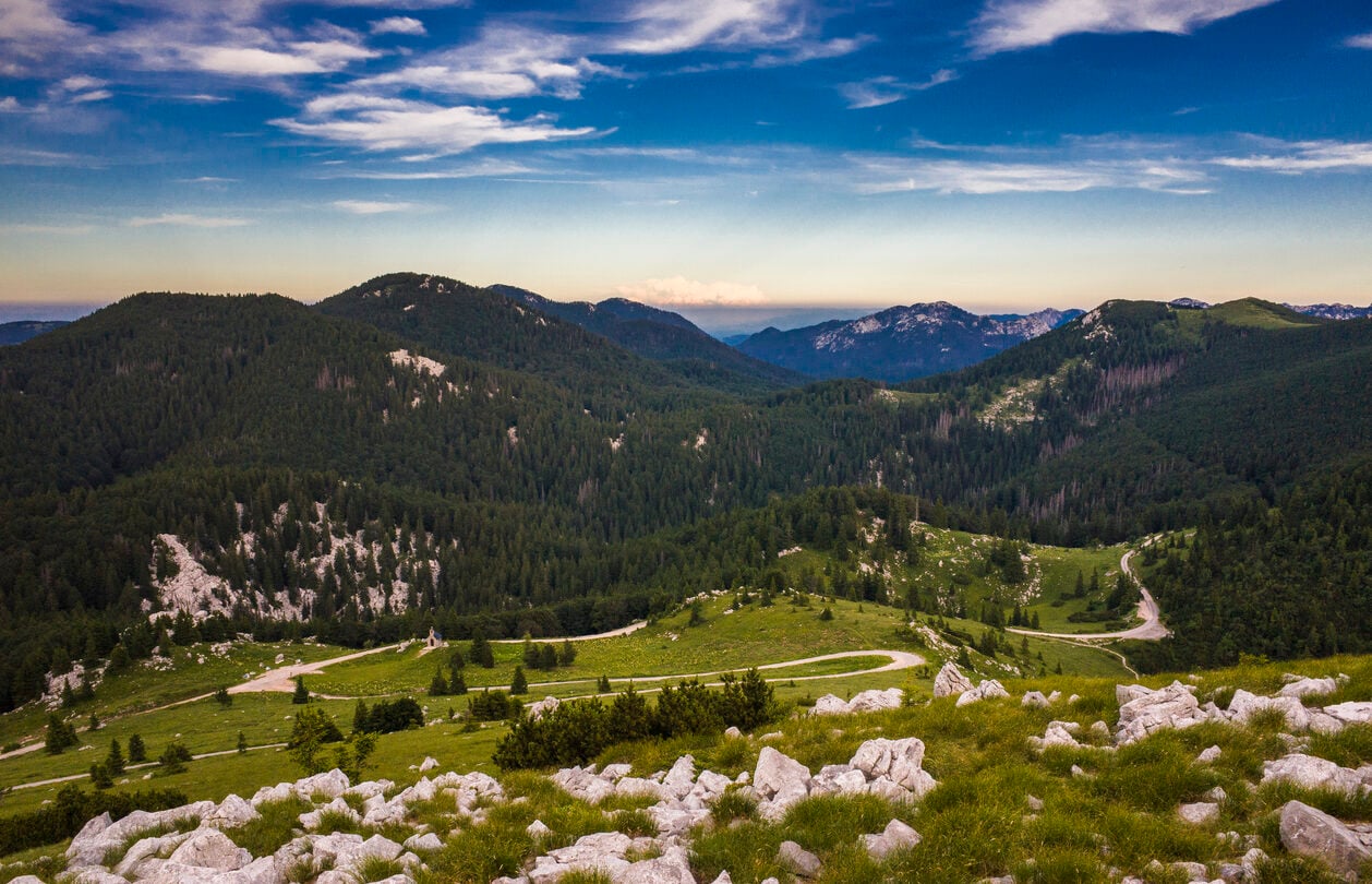 velebit zavizan