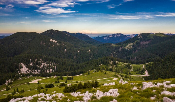 velebit zavizan