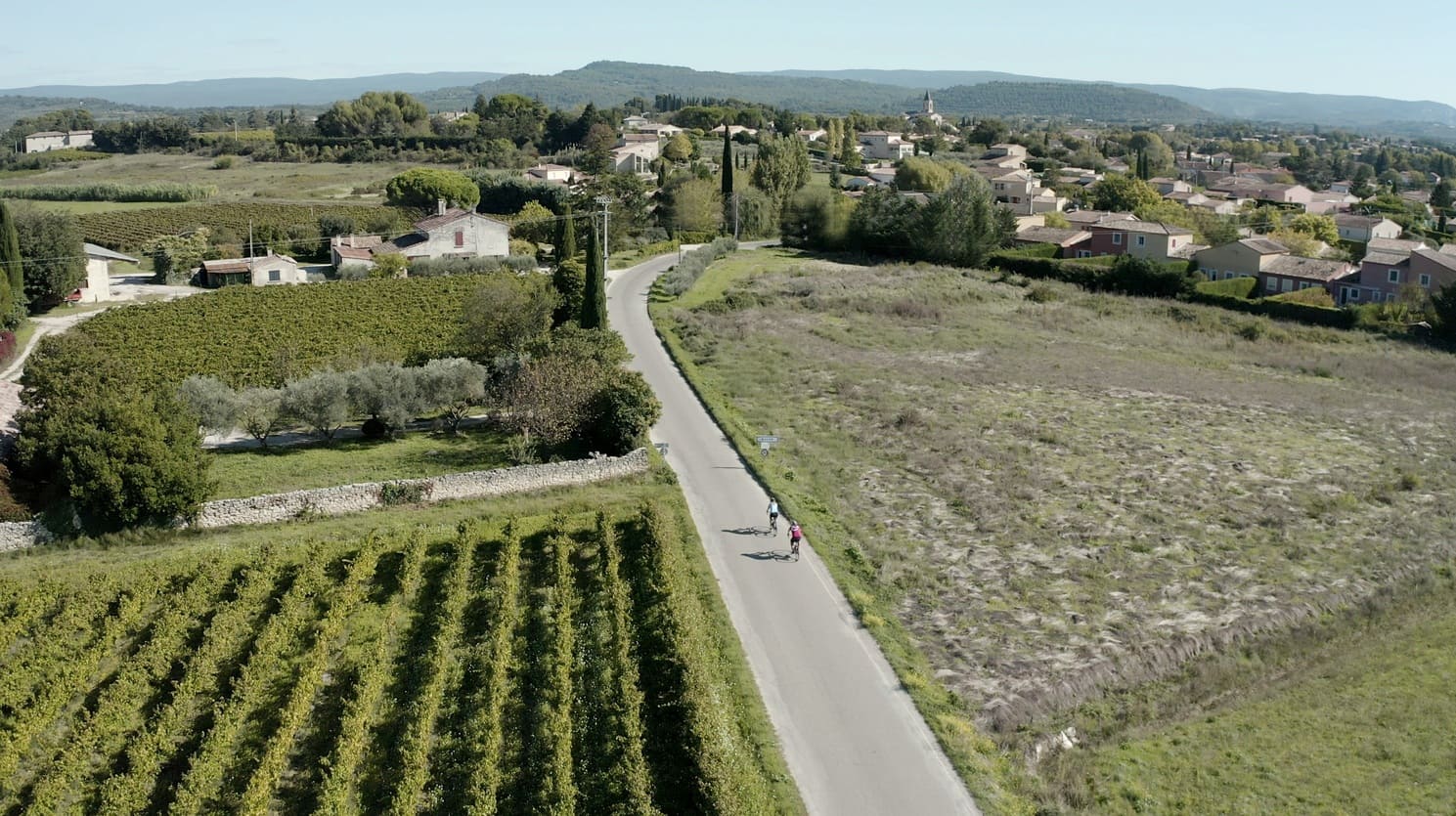 Aerial view cyclists vineyards