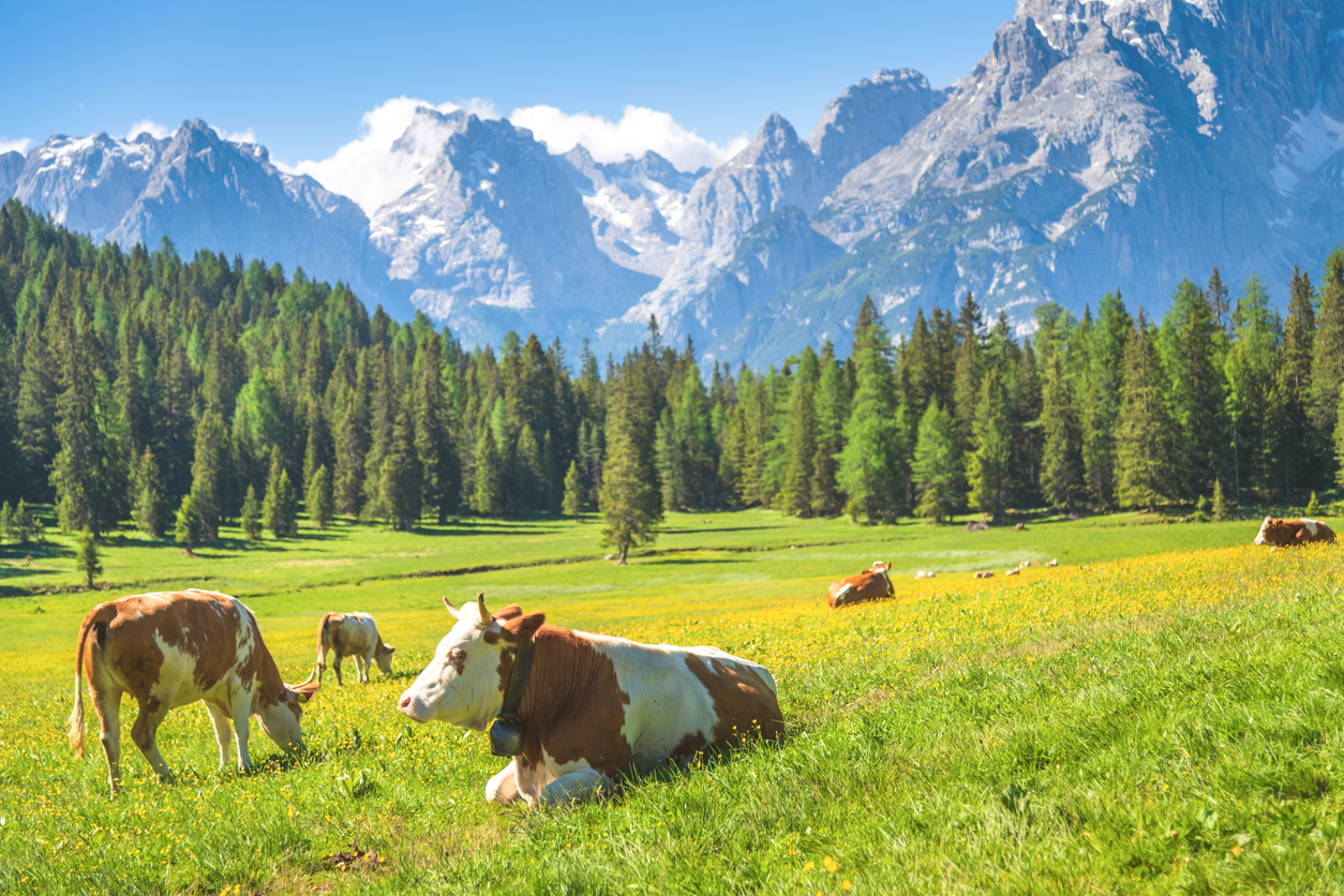 Col Raiser trail in the Dolomites