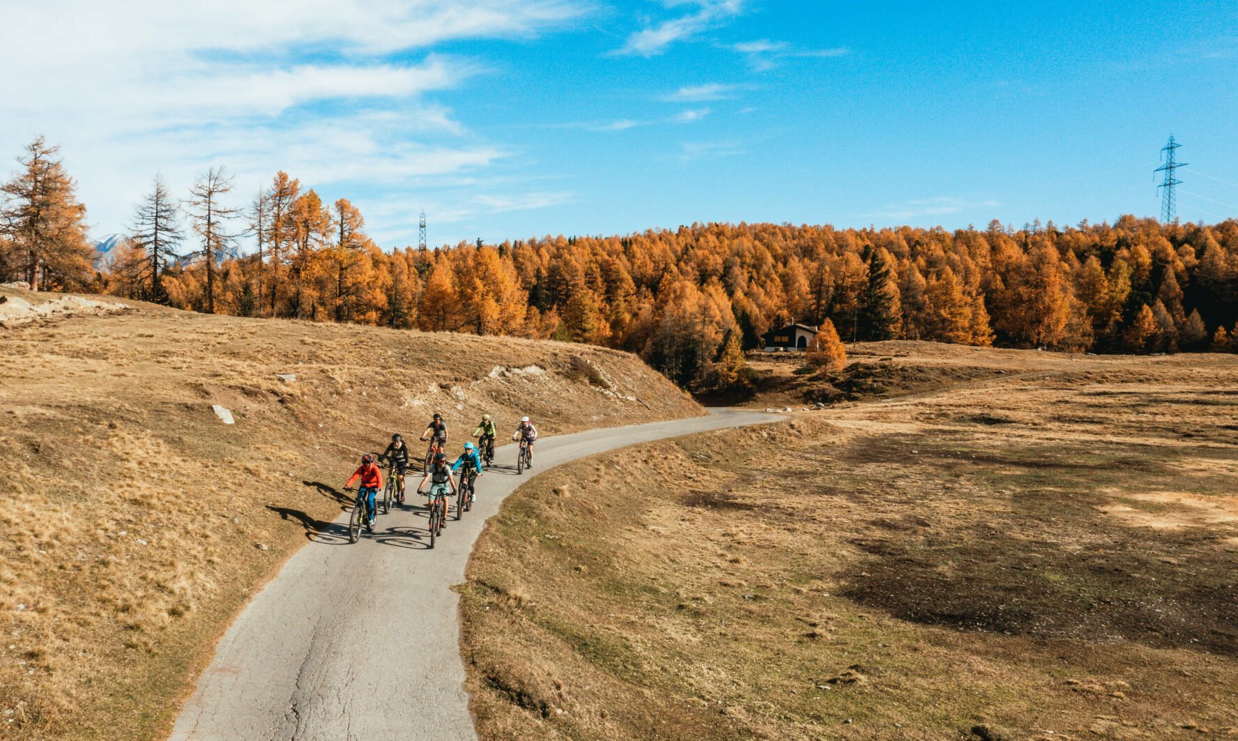 Cyclists riding a paved road next to a forest in the Swiss Alps.