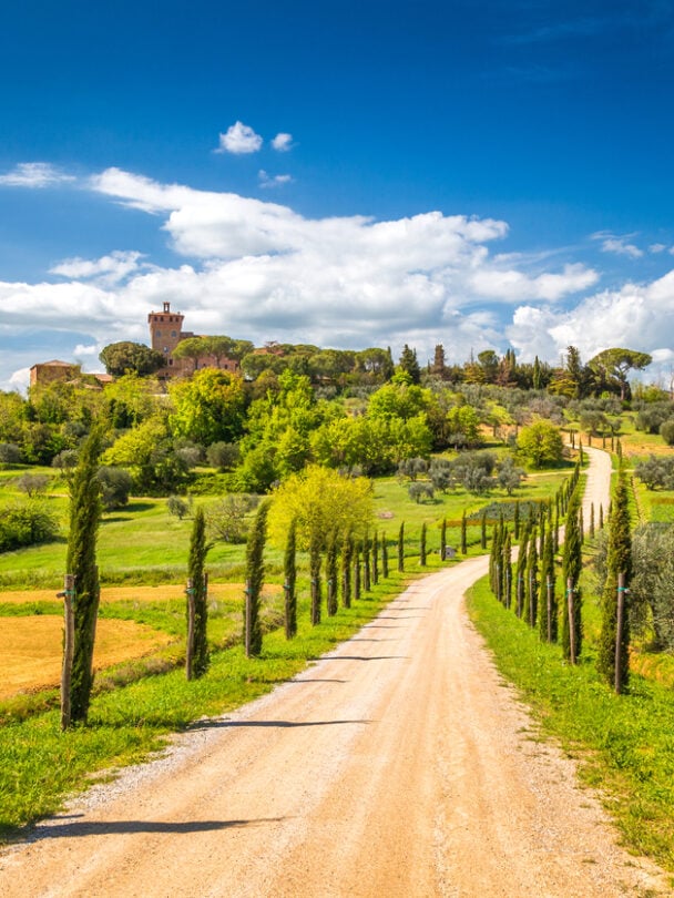Guided Tuscany bike, wine, food tour