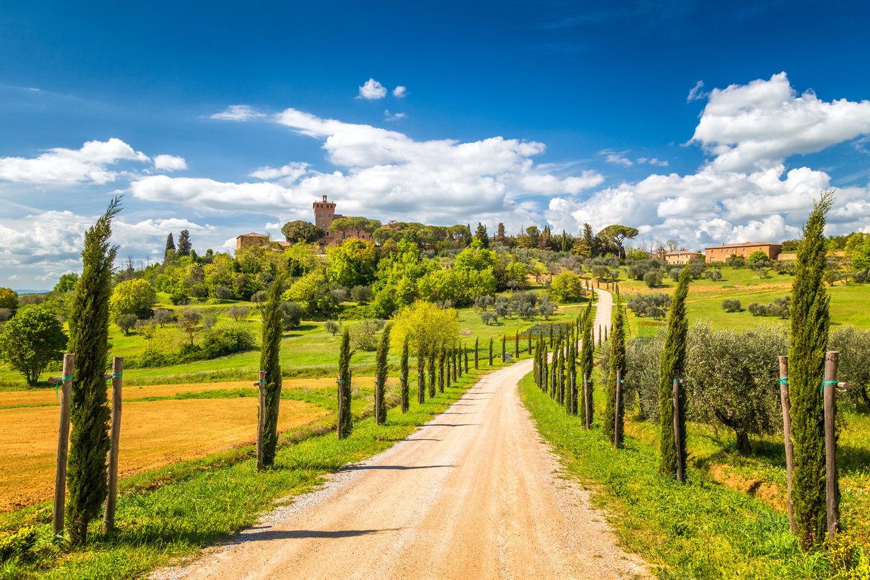 Driveway to Palazzo Massaini