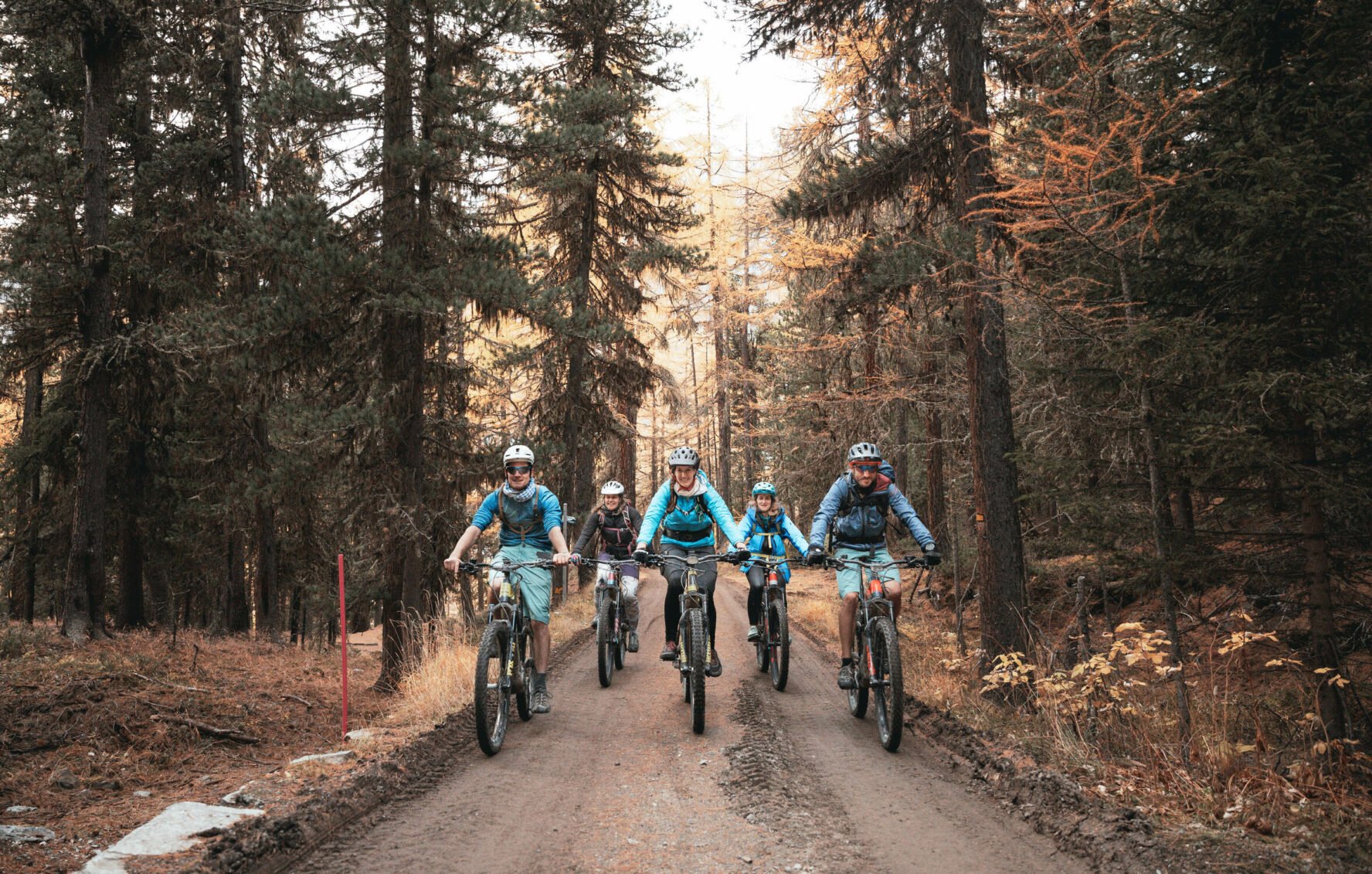 Haute Route e-mountain bikers enjoying a forest dirt road in the Swiss Alps.