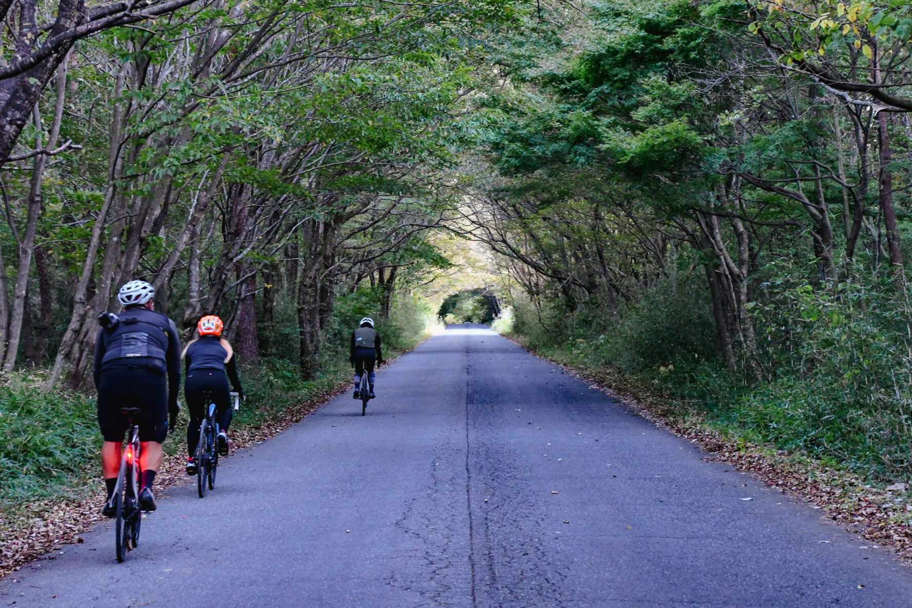 Cyclists riding along a road enclosed by trees in Tochigi Prefecture, Japan.