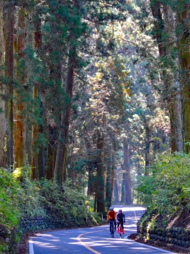 Nasu to Nikko Guided Cycling and Culinary Adventure in Japan.