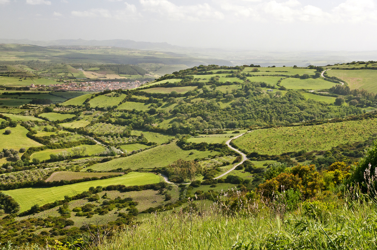 Giara, basaltic plateau