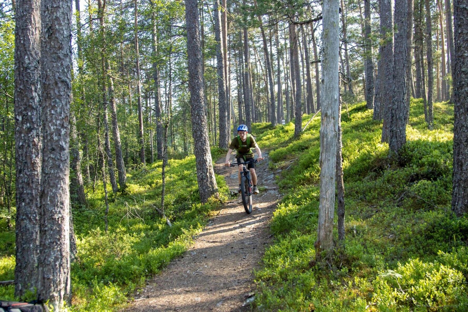 MTB through the woods of Fjord Norway