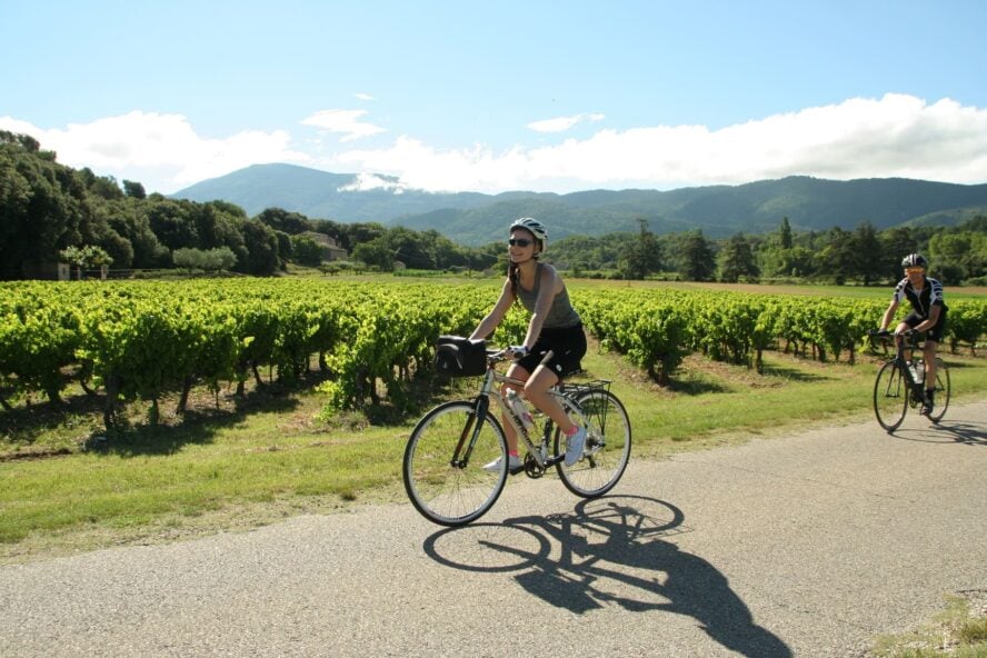 One cyclist in vineyards of Provence