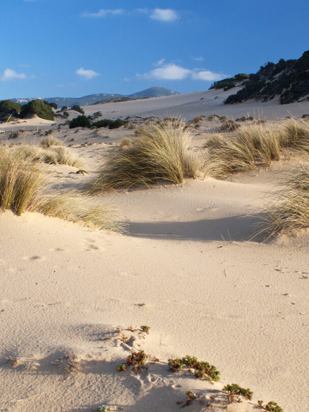 Guided self-guided bike tour in Sardinia