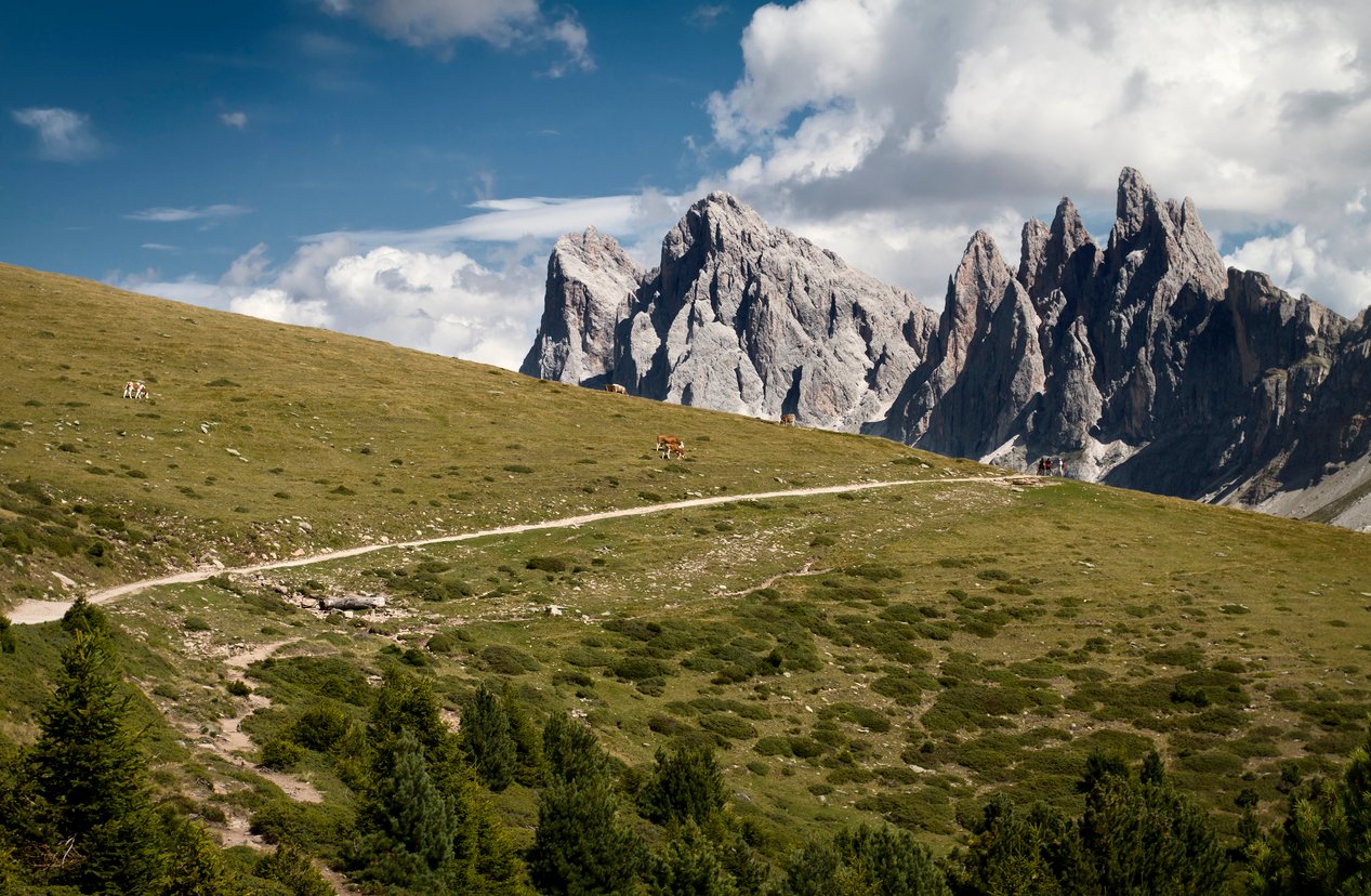 Rasciesa plateau in the Dolomites