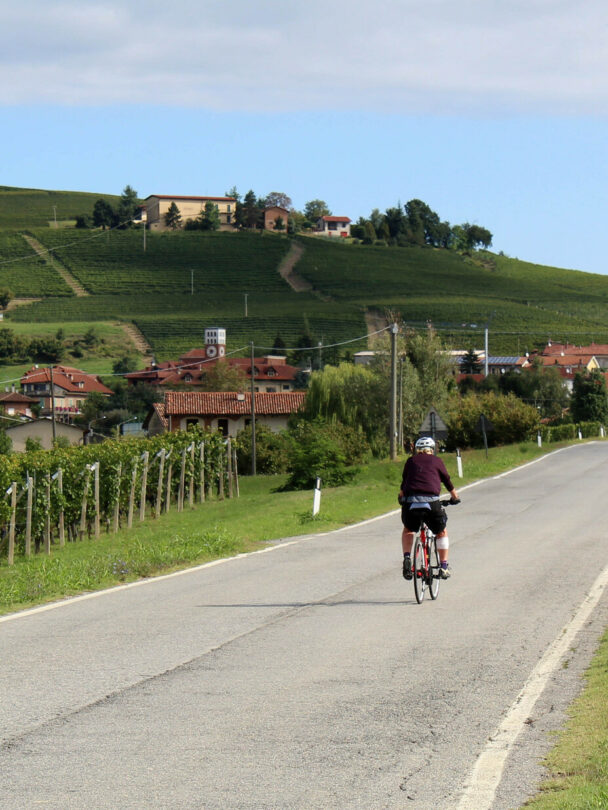 Guided Tuscany bike, wine, food tour