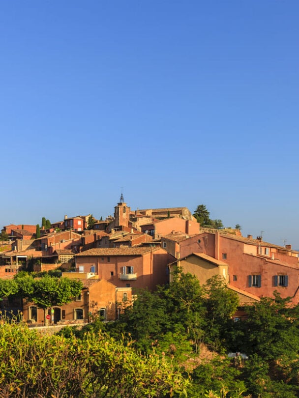 Five cyclists in Provence