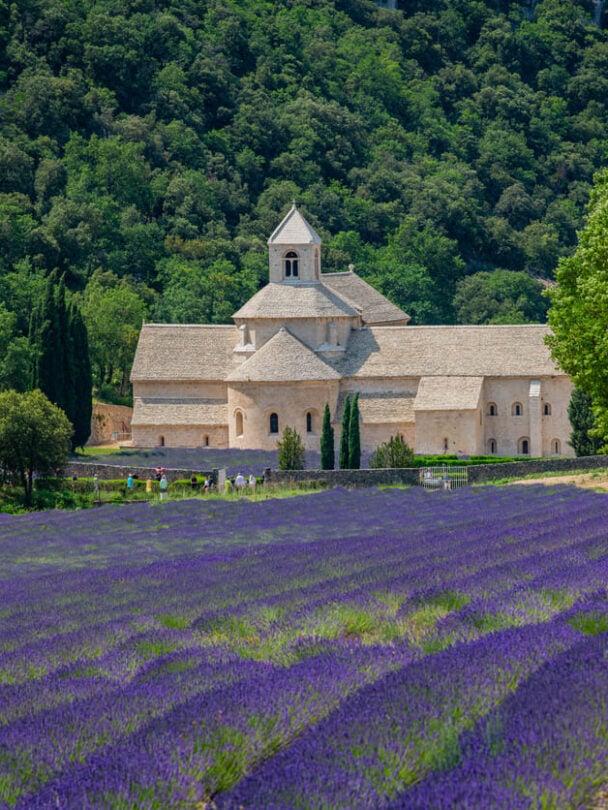 Five cyclists in Provence