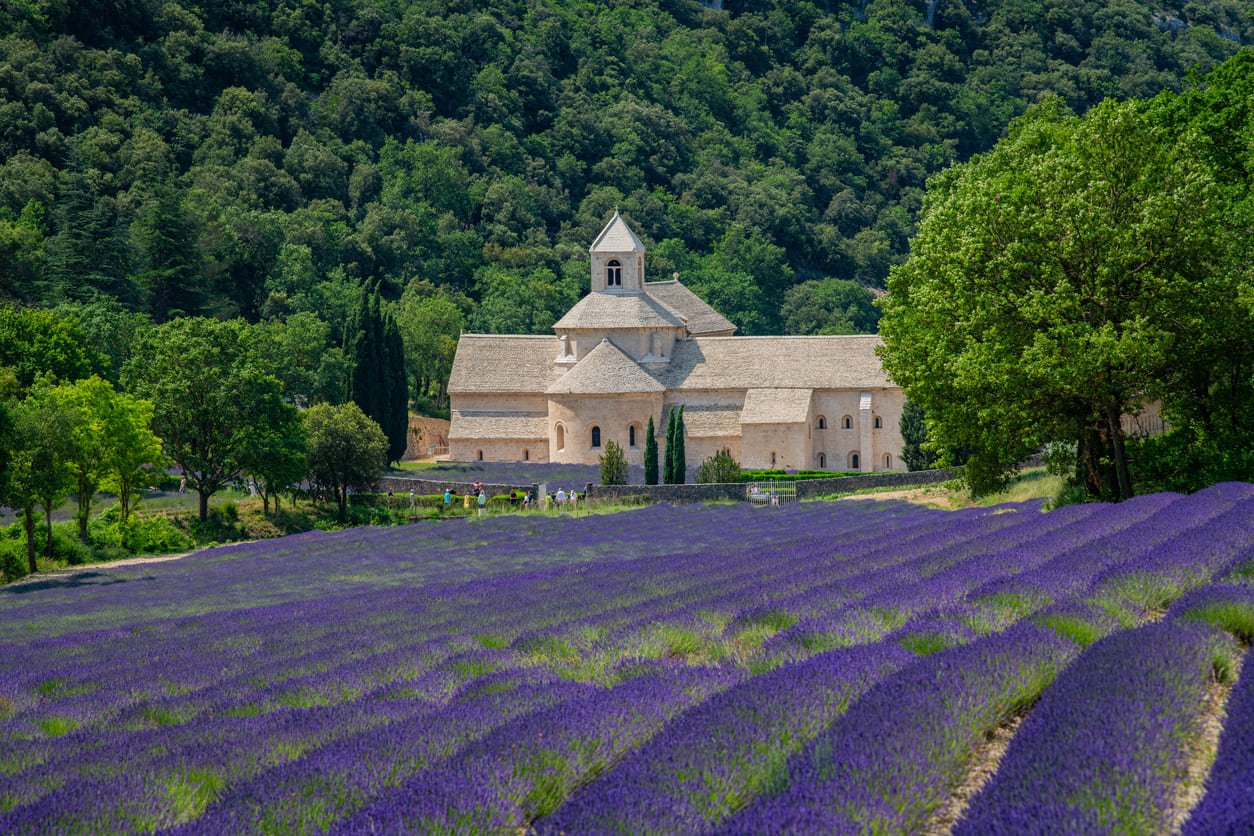 Senanque abbey in Gordes