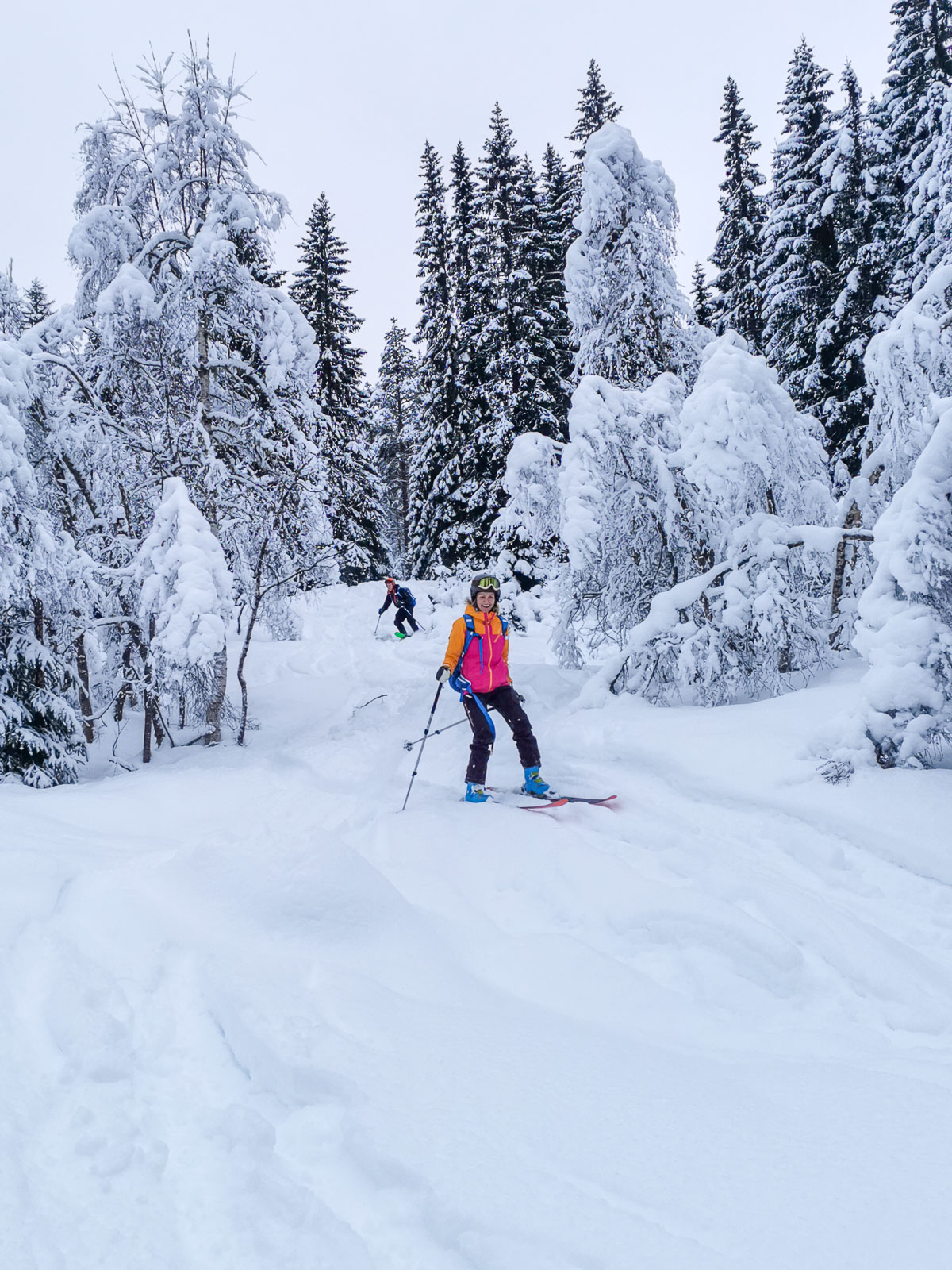Skier in the backcountry with trees in Norway