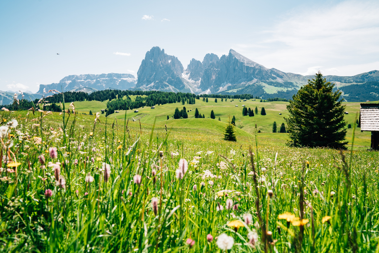 Summer day in the Dolomites, Val Gardena
