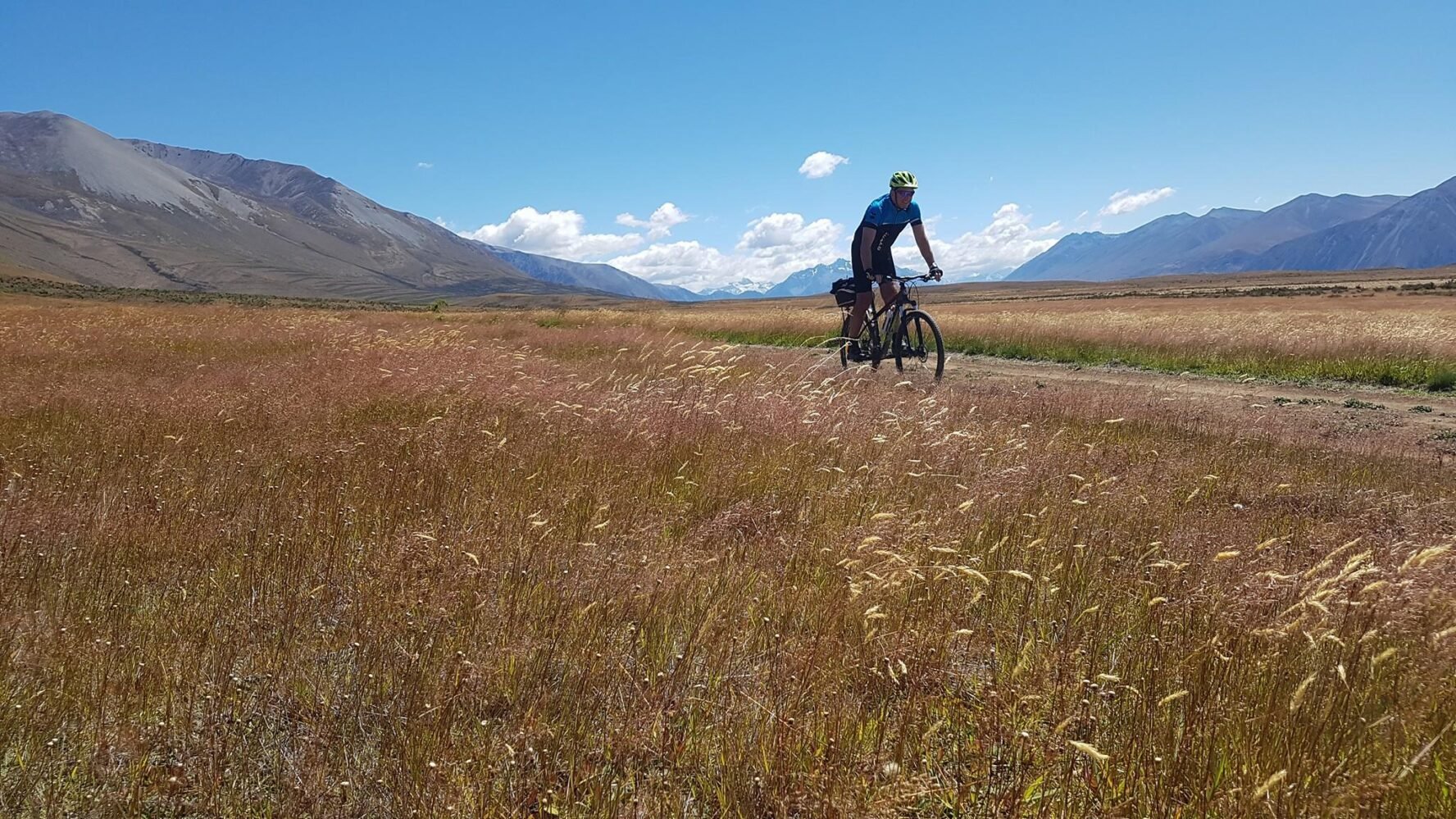 sunny day new zealand