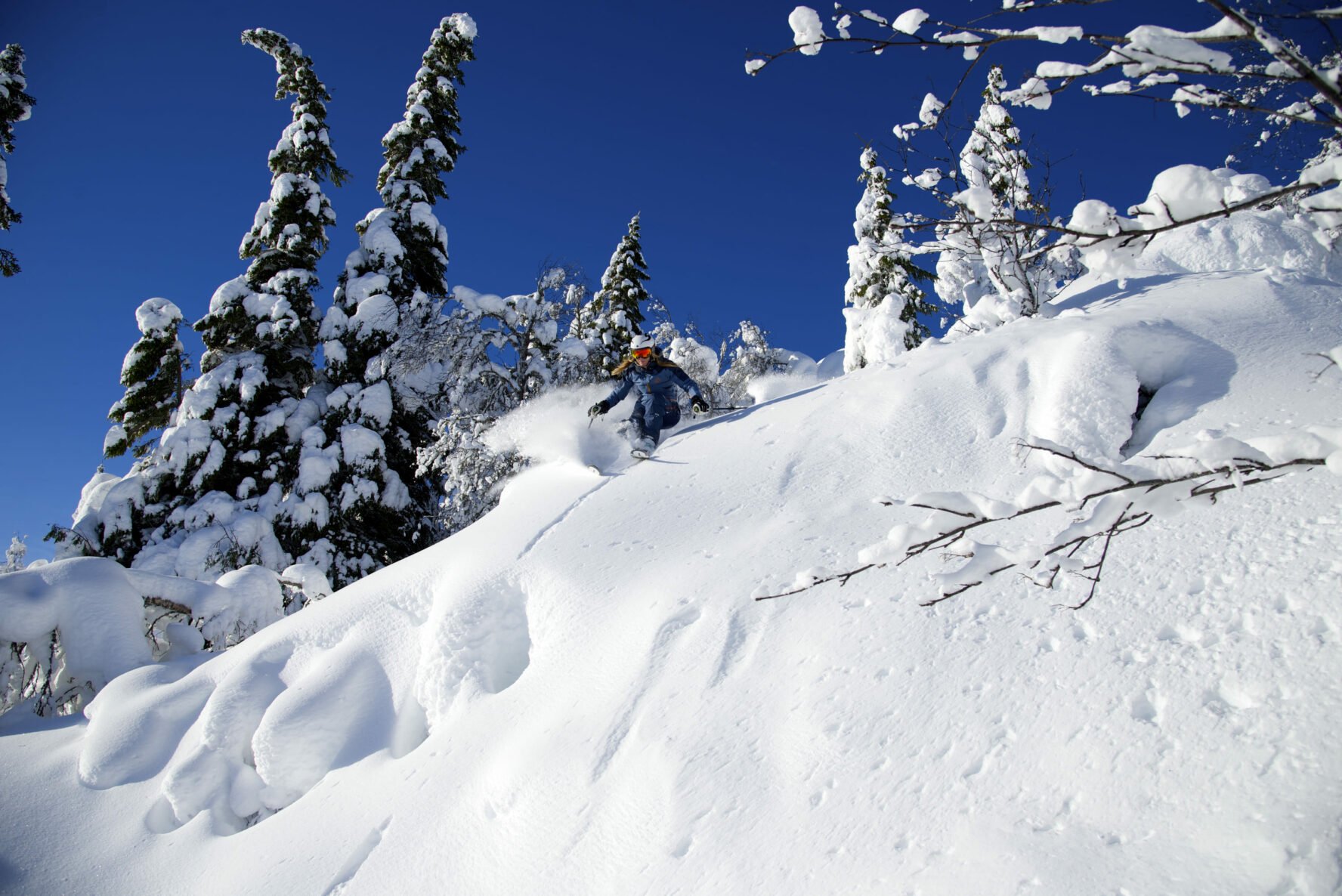 Tree skiing in Voss resort