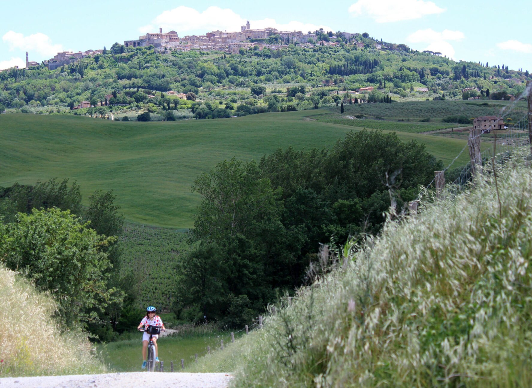 Tuscan lush hills and a cyclist