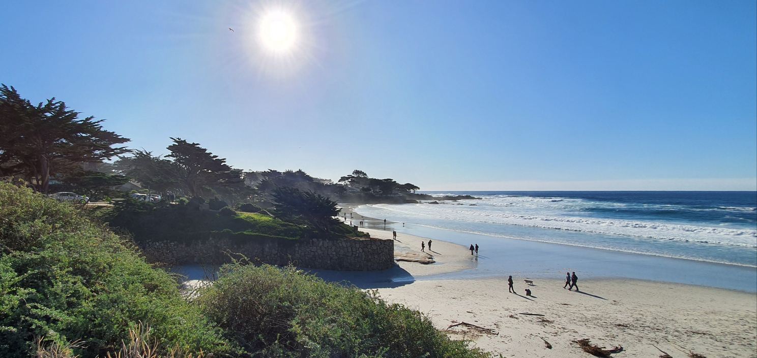 Landscape in Carmel Bay, California