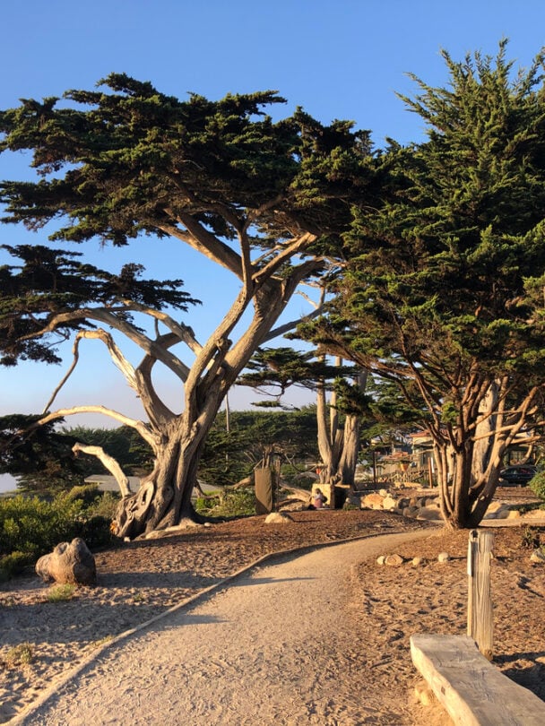 Walking Tours in Carmel-by-the-Sea: Explore California's Fairytale Beach Town