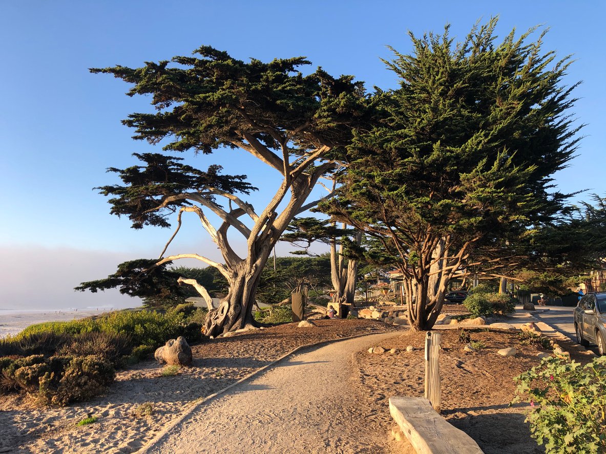 Coastline, Beach, Sunset, Clouds