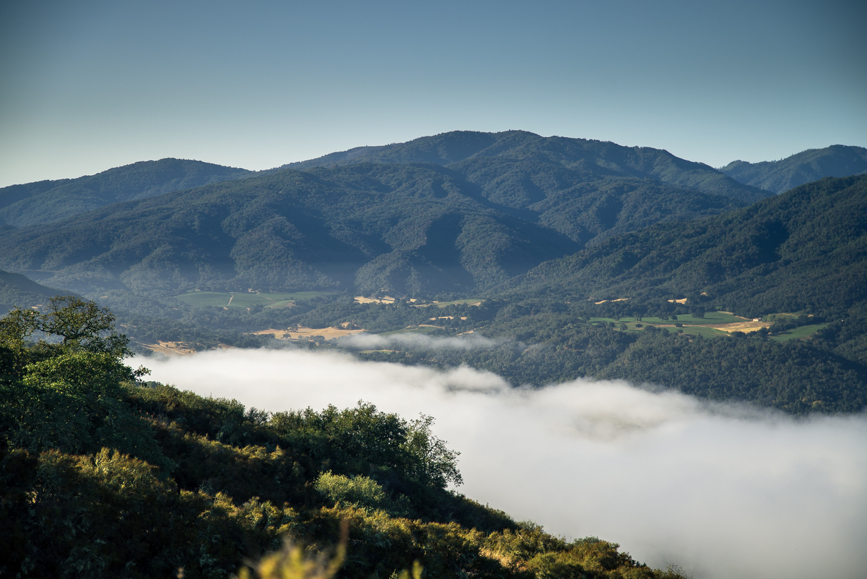 Morning fog in the Carmel Valley, Monterrey County, Northern California.
