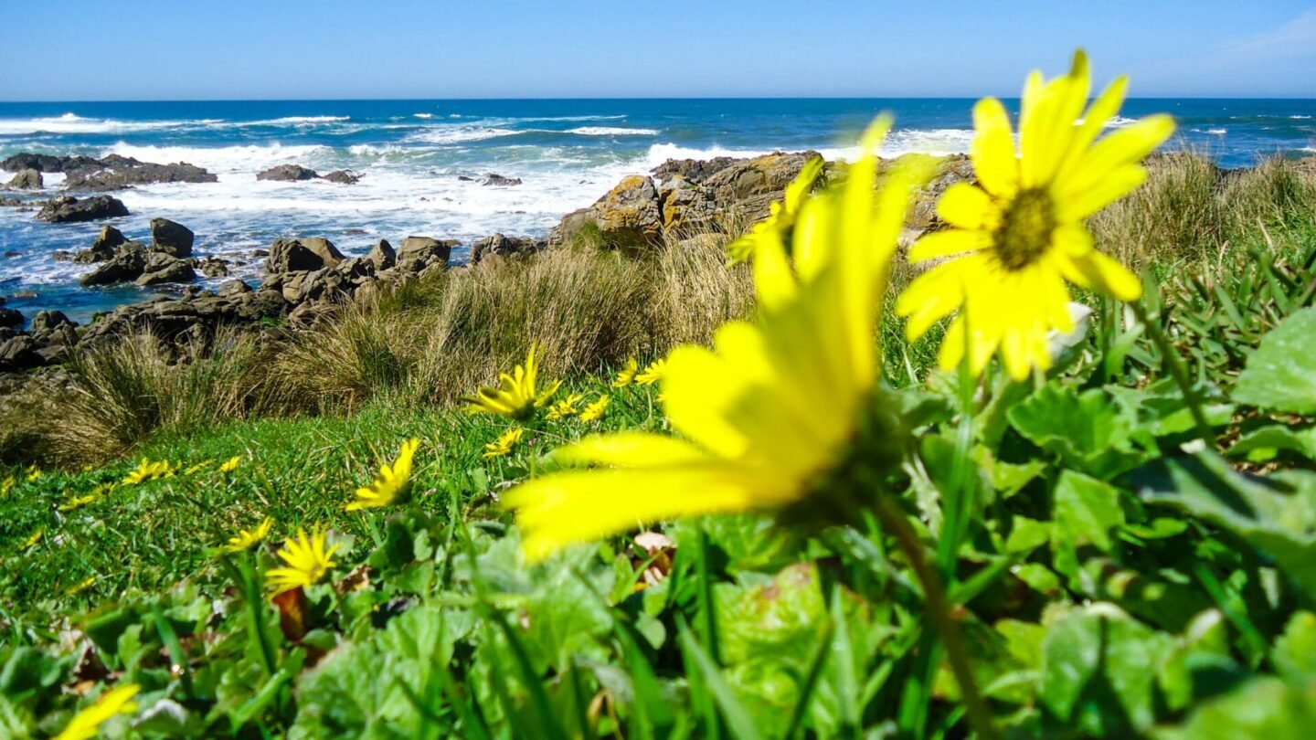 A coastal hike along the Camino de Santiago
