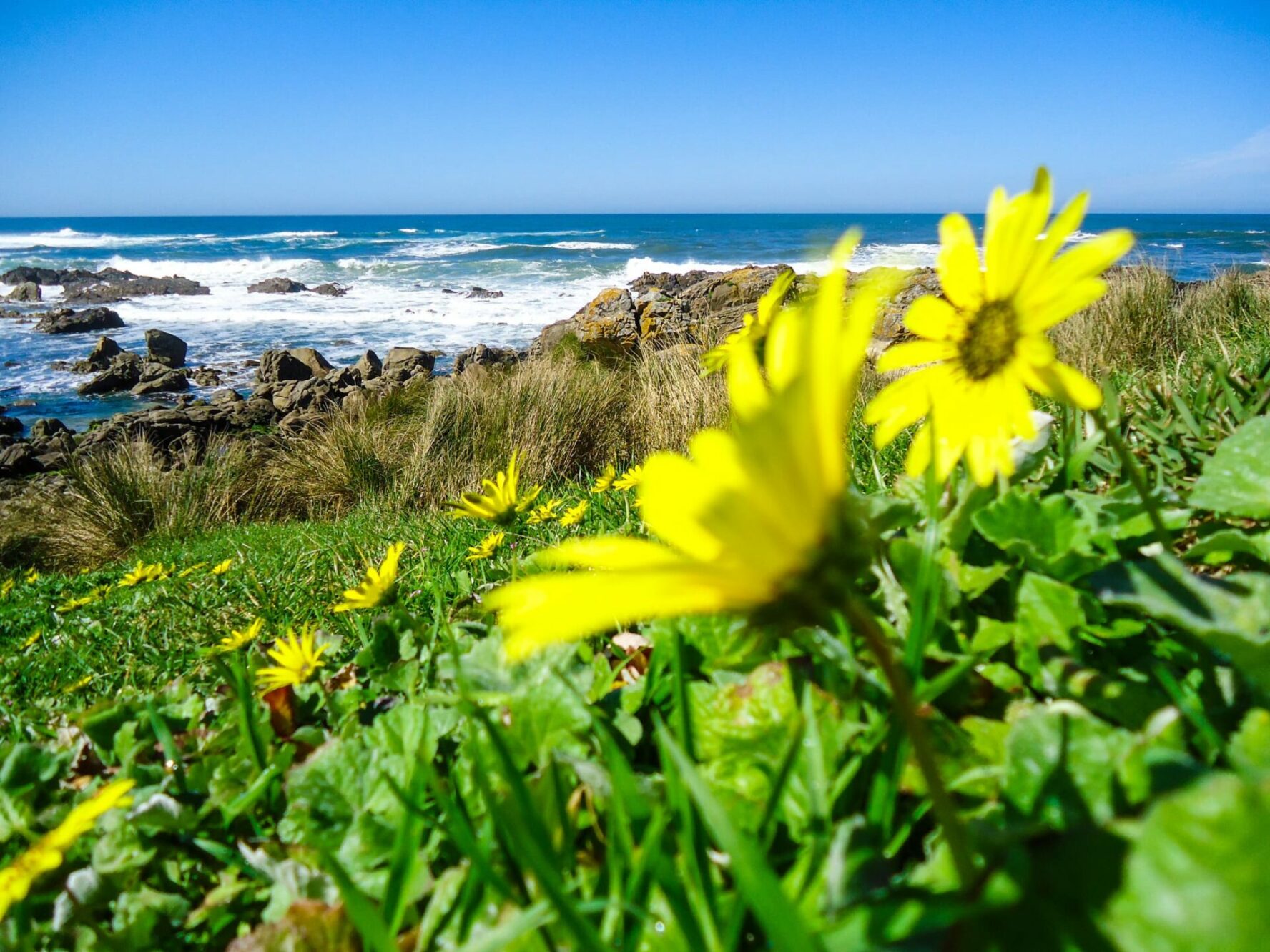 A coastal hike along the Camino de Santiago