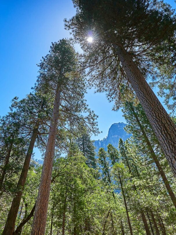 Guided Yosemite hiking tours