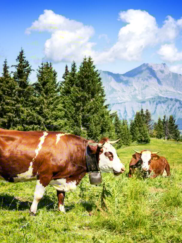 Hiking in the summer in the Alps, Lac Blanc