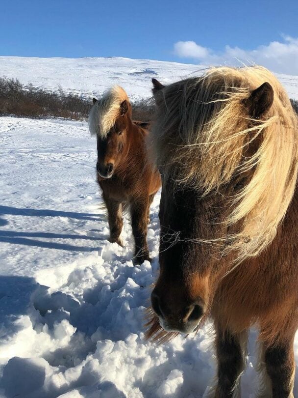 Winter wonderland in Iceland, wellness retreat