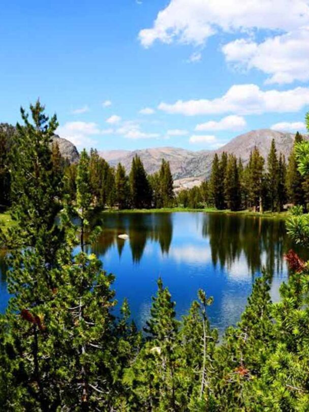 Yosemite Day Hikes.