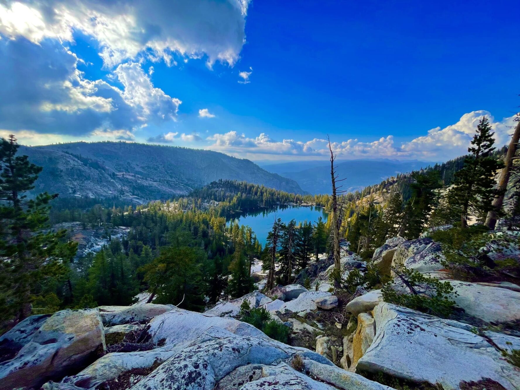 Lake and conifer forests Yosemite