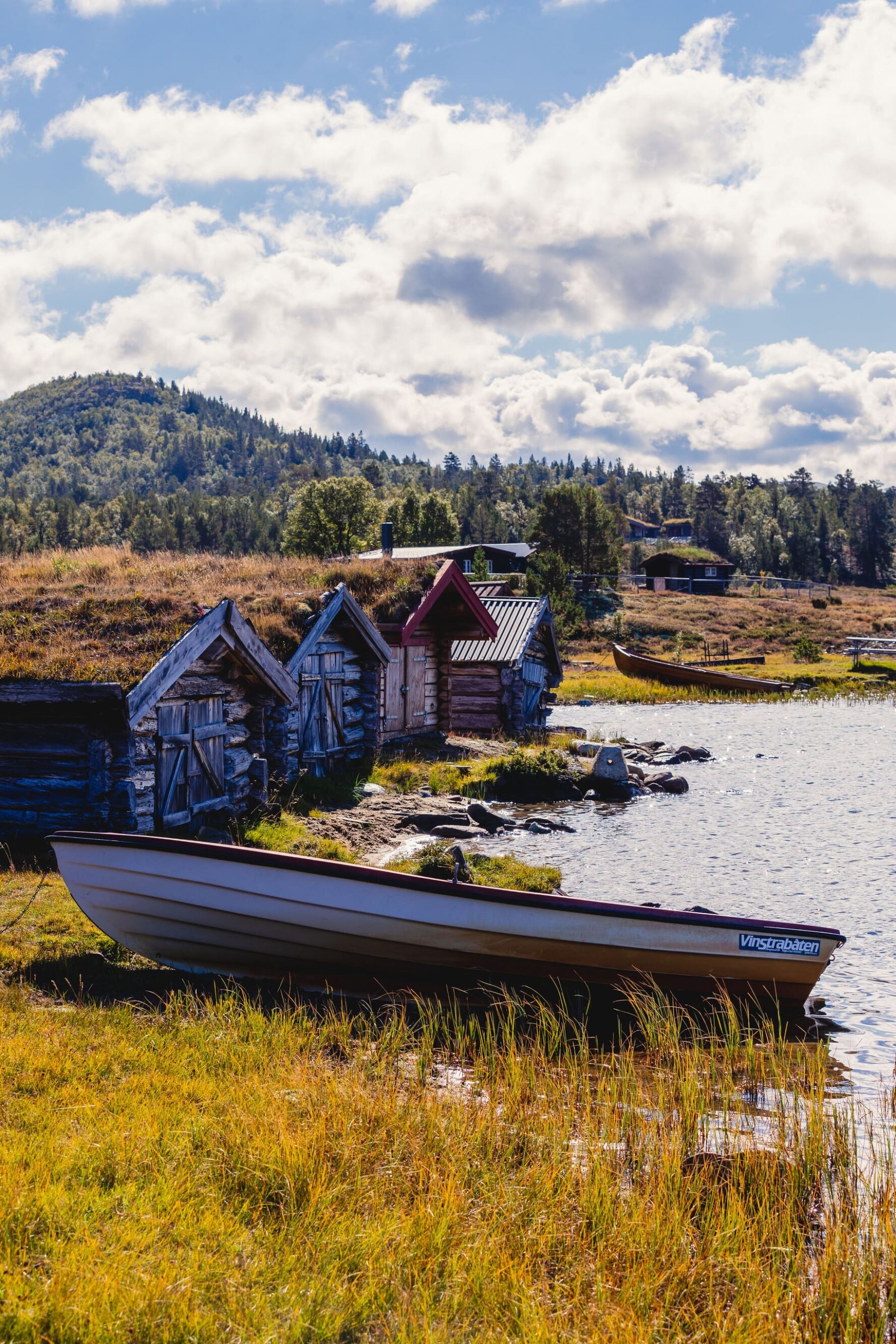Lakeside old houses