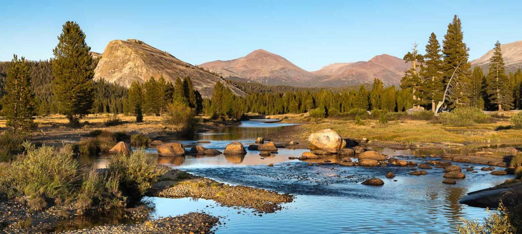 Lembert Dome as seen from the marshy Tuolumne Meadows.