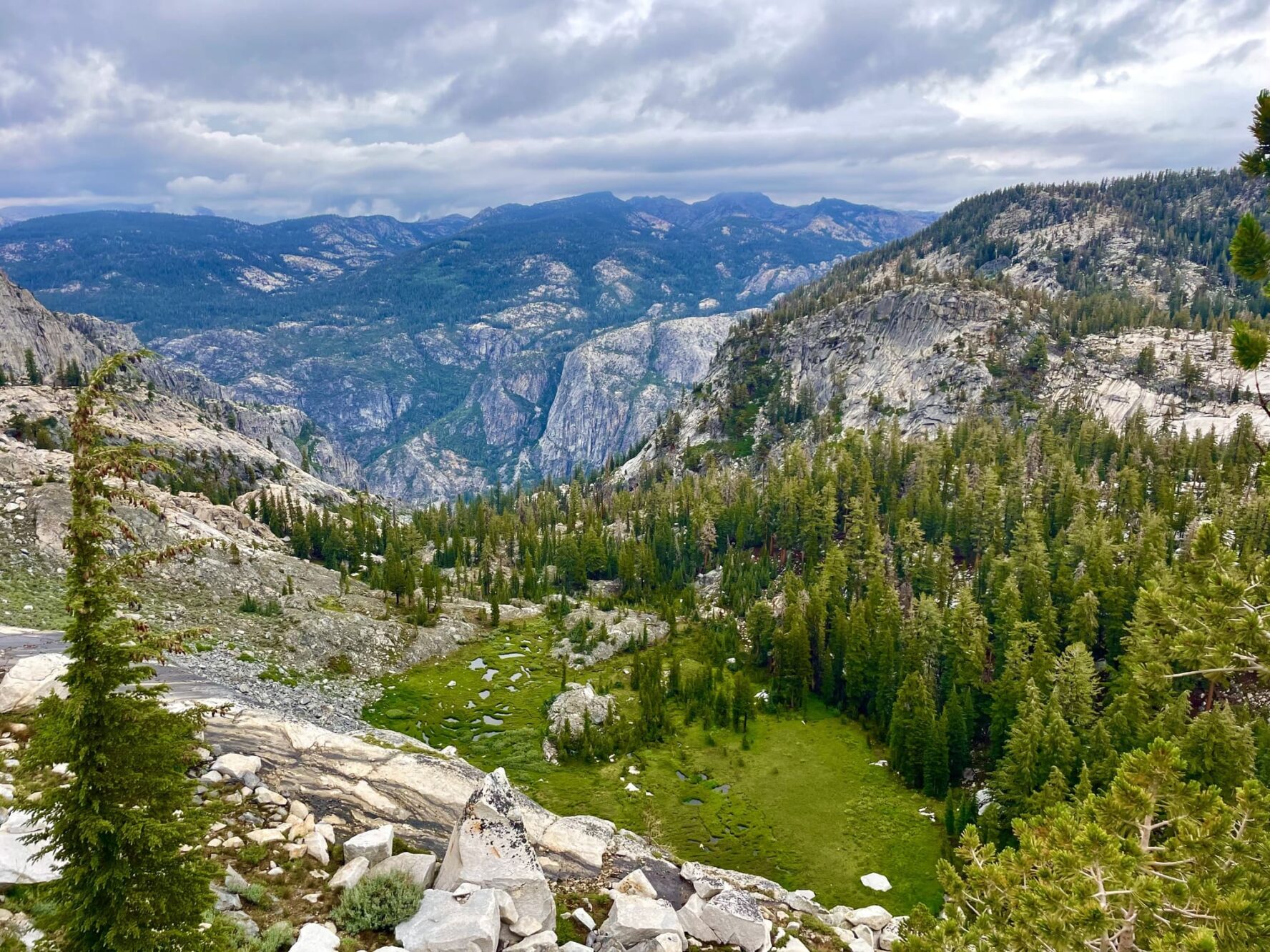 Lush scenery in Yosemite