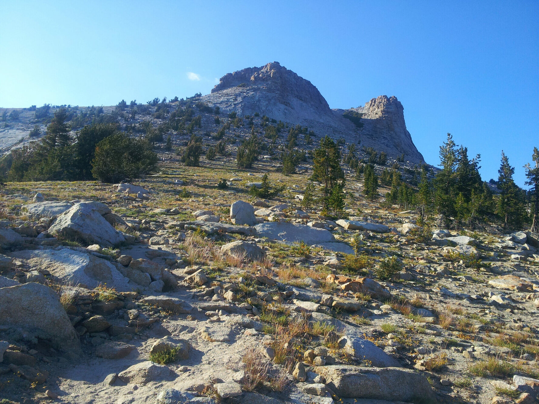 Rough terrain near the summit of Mount Hoffman.