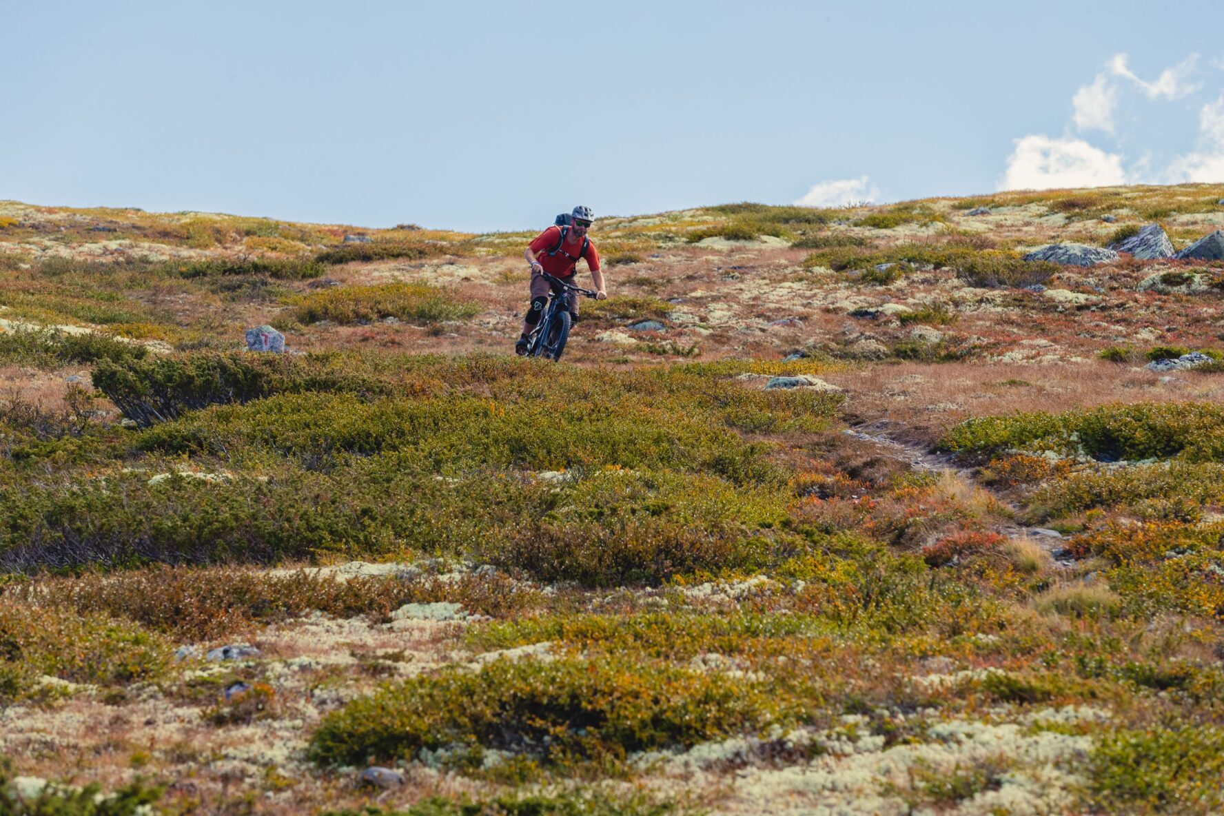 One MTB in Rondane