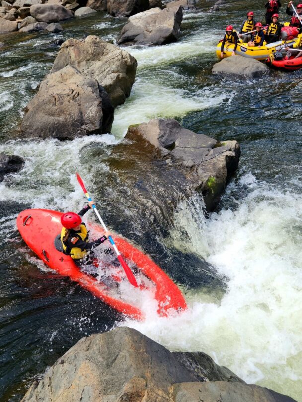 Guided Snowy River rafting tour